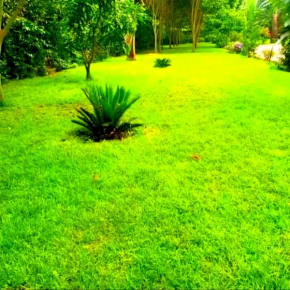Hotel property for rent -Arusha